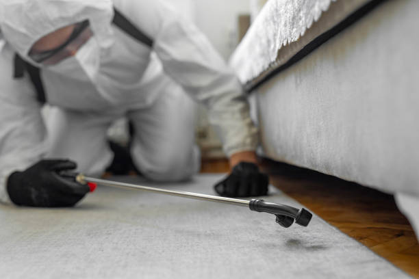Professional Bed Bug Control technician working in Pioneer, OH