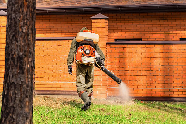 Trusted Cockroach Control service in Pioneer, OH - Nex Pest Control